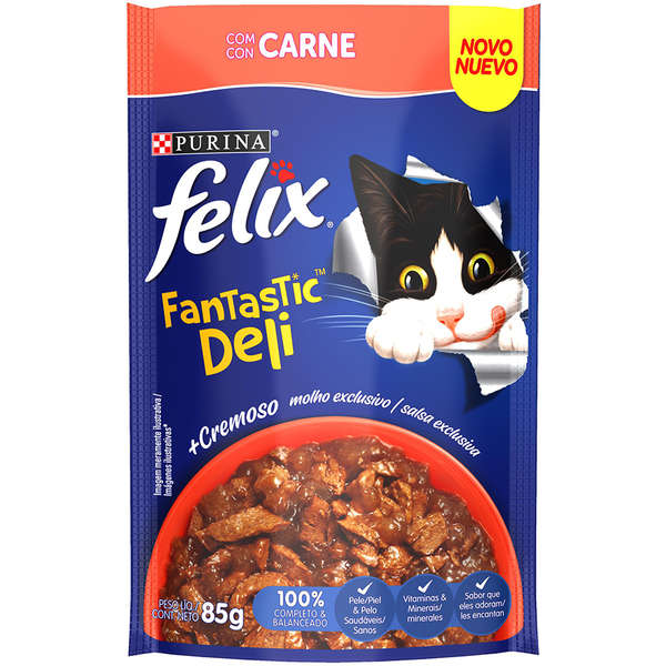 RACAO FELIX FANTASTIC DELI CARN MOLHO 85G